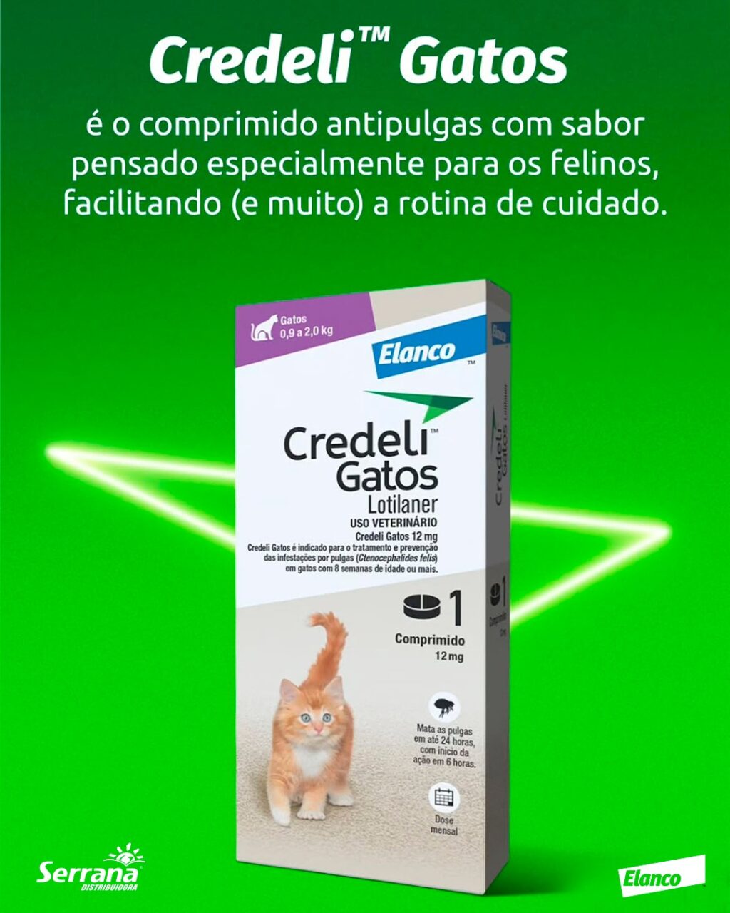 Instagram post from serranadistribuidora. This post is in position 3.