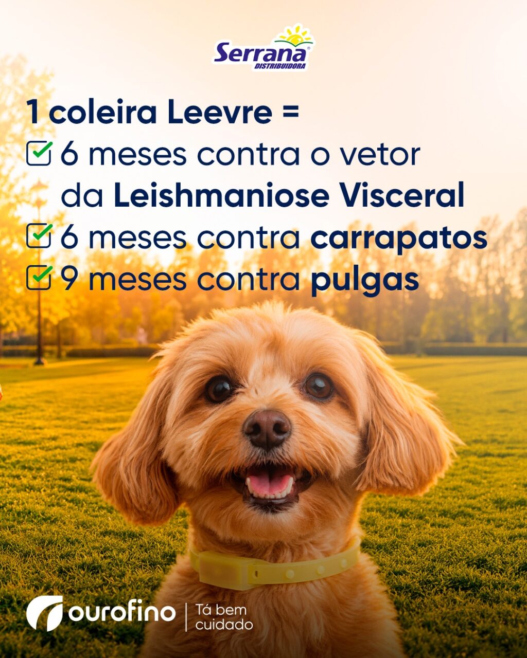 Instagram post from serranadistribuidora. This post is in position 1.