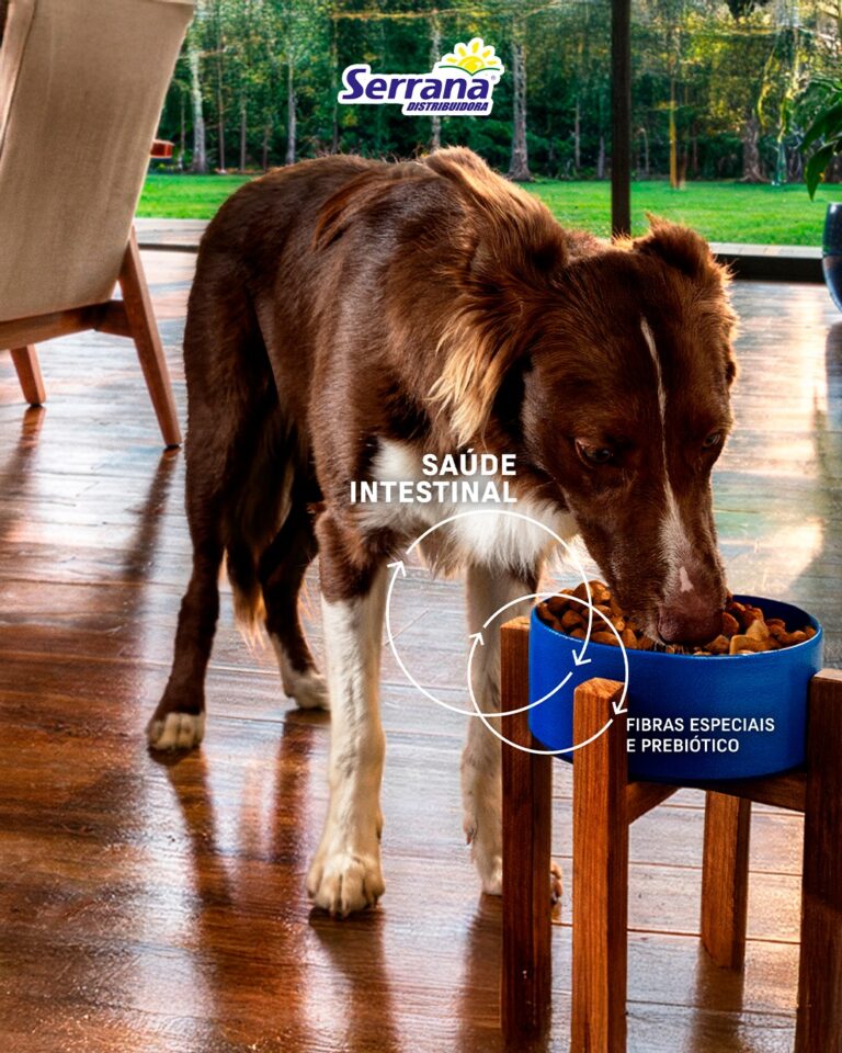 Instagram post from serranadistribuidora. This post is in position 2.