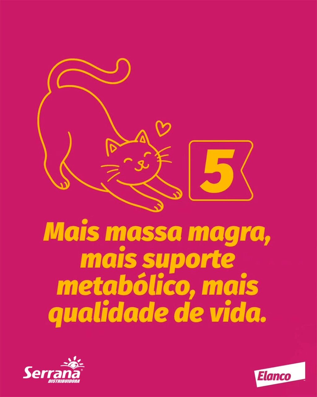 Instagram post from serranadistribuidora. This post is in position 5.
