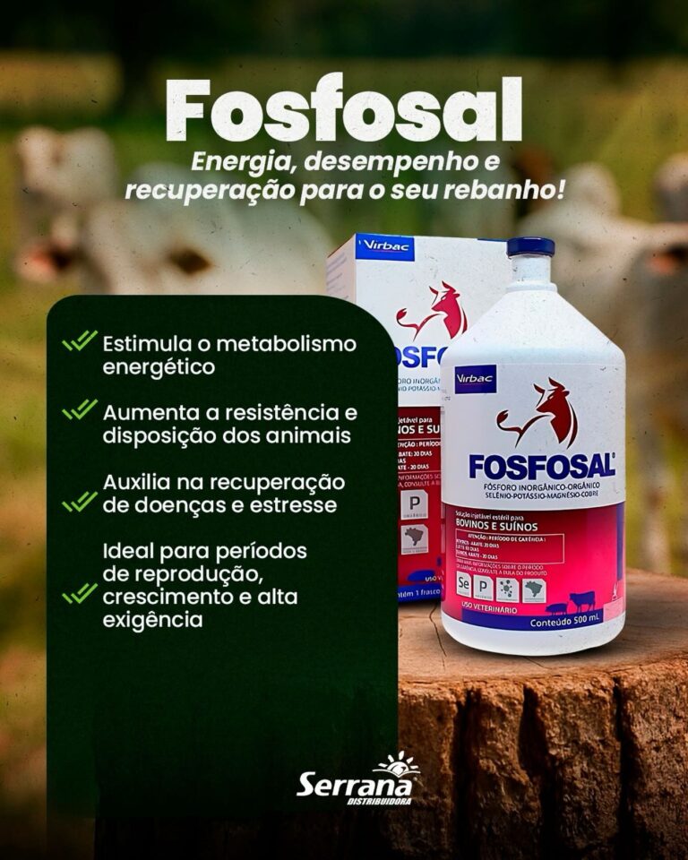 Instagram post from serranadistribuidora. This post is in position 2.