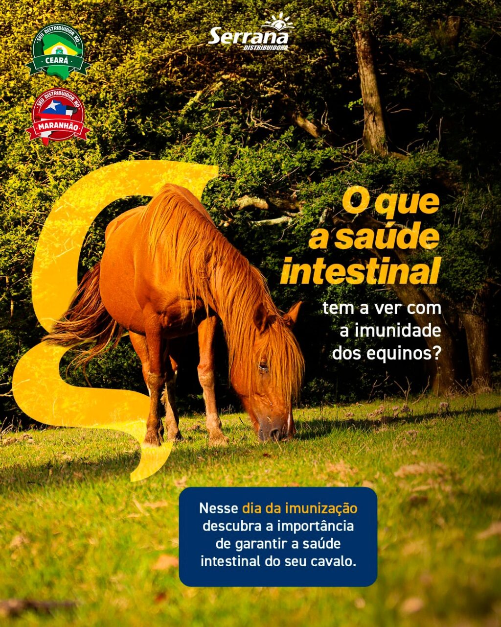 Instagram post from serranadistribuidora. This post is in position 0.