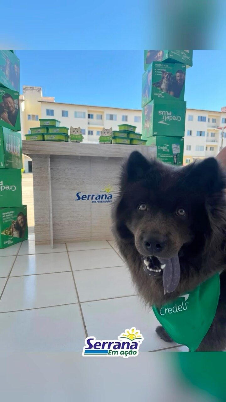 Instagram post from serranadistribuidora. This post is in position 1.